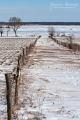 024_Biebrza - marzec 2013